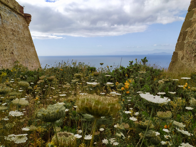 View towards Europe taken from Ceuta in Northern Africa. Photo © Karethe Linaae
